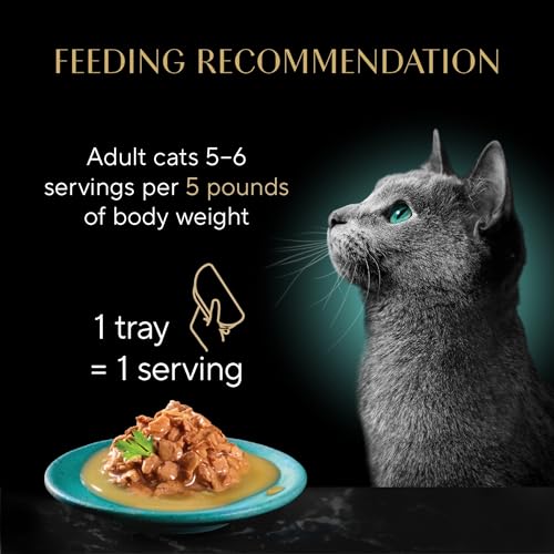 Gravy Indulgence Wet Cat Food (12 Count (Pack of 2))