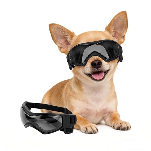 XS Dog Goggles for Extra Small Breed UV (X-Small / Black)