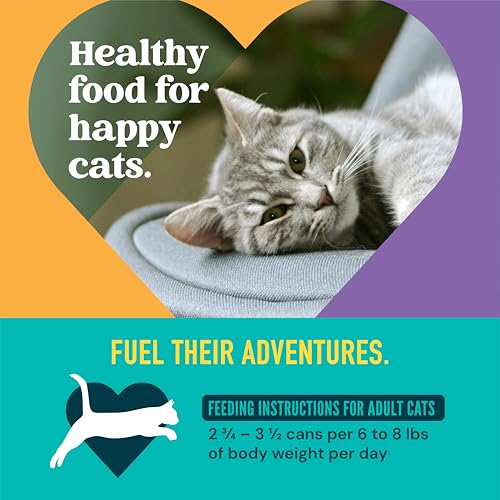 A Strong Heart Cat Food (3 Ounce (Pack of 24))