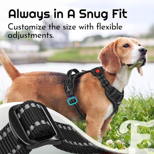 Dog Harness No Pull for Large Dogs (Large / Black)