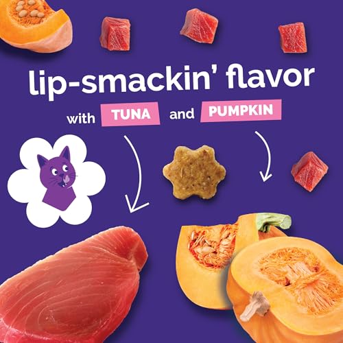 Crunchy Cat Treats (2.5 Ounce (Pack of 1) / Tuna & Pumpkin)