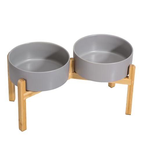 Elevated Ceramic Dog Bowl Set (Dark Gray / Large)