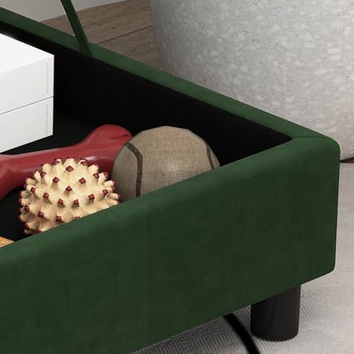Luxury Fancy Dog Couch with Hidden Storage (Green)
