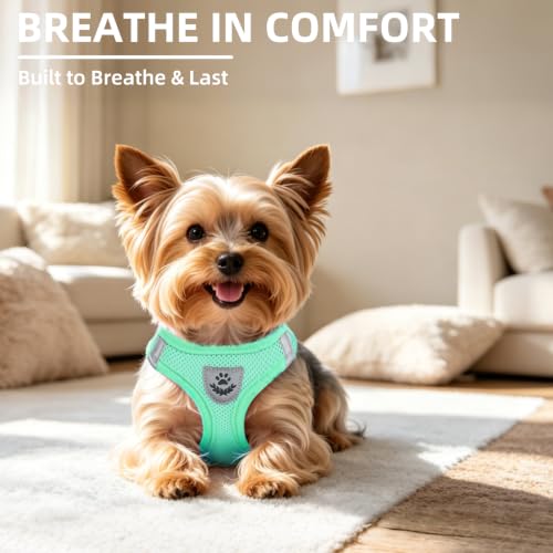 Dog Harness Collar and Leash Set No Pull for Small Medium Sized (Solid Green / S (CHEST 14.5"-16"))