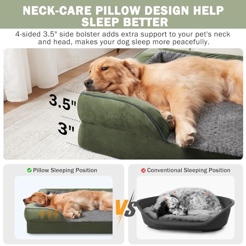 Orthopedic Medium Dog Dogs (Green / M (28"x 23"x 6.5"))