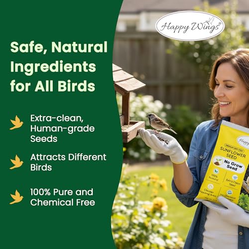 5 LB Black Oil Sunflower Seeds Bird Food (5 Pound (Pack of 1))