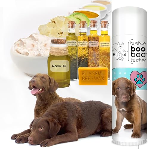 Chesapeake Bay Retriever Boo Boo Butter (0.50 Ounce / Chesapeake Bay Retriever)
