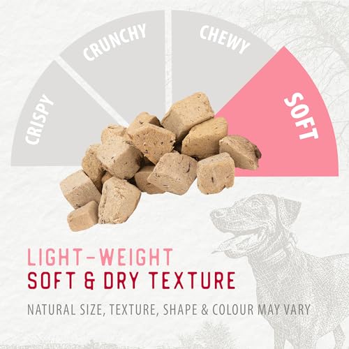 Freeze Dried Bites (4.1 Ounce (Pack of 1))