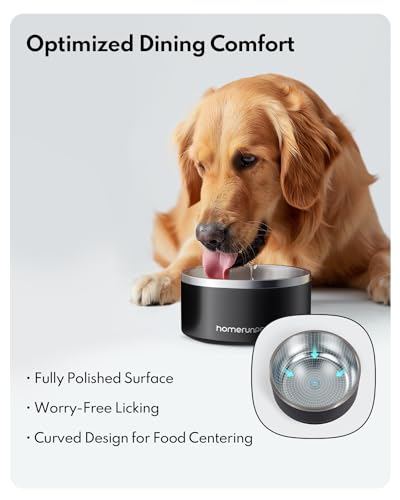 Double Wall Stainless Steel Dog Bowls (32oz / Black)