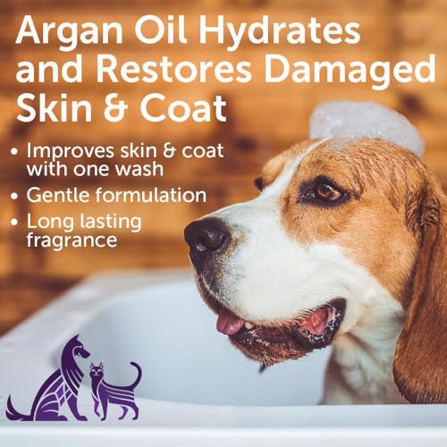 Pet Shampoo for Sensitive Skin (Soft Lily Passion Shampoo / 16 oz)