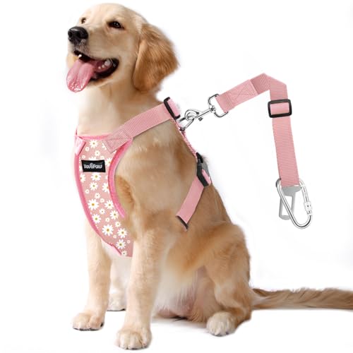 Dog Seat Belt (Pink Daisy / XL (Chest: 24.4-34.7", Neck: 18.9-29.1"))