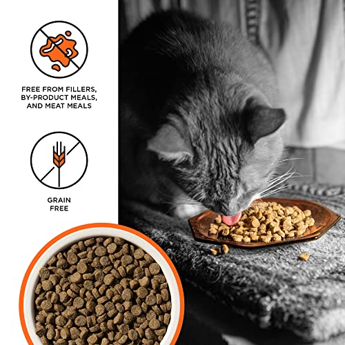 Liberty Dry Food Chicken Recipe for Cats