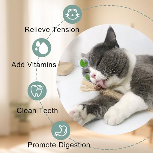 7-in-1 Kitten Toys for Indoor Cats with Washable Adhesive Suction Cup, Hanging Interactive Cat Toys, Silvervine Stick and Sisal Chew Rope Catnip Teething Toy for Bored Kitten (Neutral)