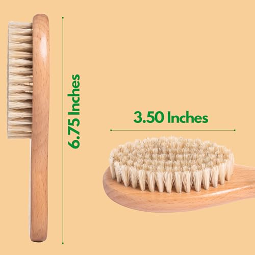 Boar Bristle Soft Cat Brush for Indoor