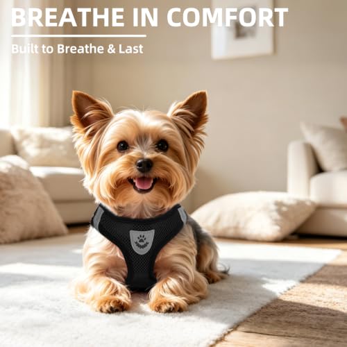 Dog Harness Collar and Leash Set No Pull for Small Medium Sized (Solid Black / S (CHEST 14.5"-16"))