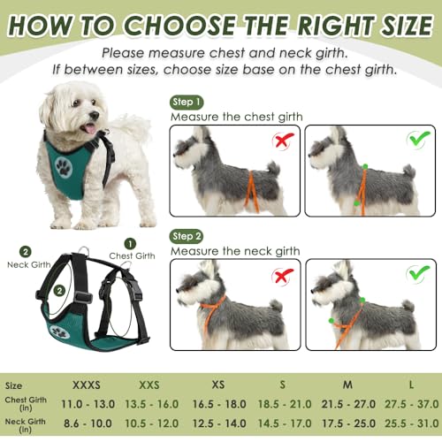 Dog Seat Belt and Harness for Car (Green / Small)