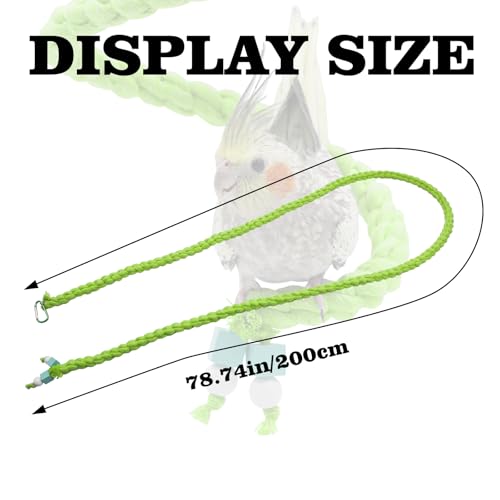 Spiral Rope Perch & Swing (78.7 inches / Green)