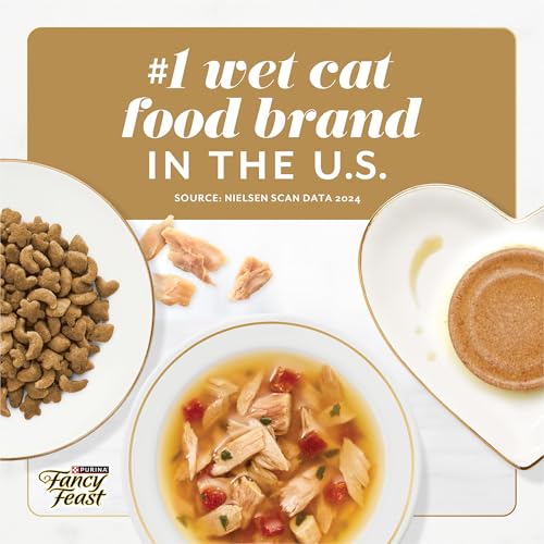 Purina Fancy Feast Gems Salmon Wet Cat Food (4 Ounce (Pack of 8))