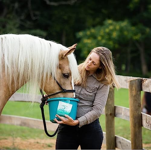 120 Pack All Natural Patented Equine Hydration Treat (120 Pack (120 oz))
