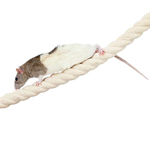 42 Inch Natural Rope (42 inches long, 3/4 inches thick)