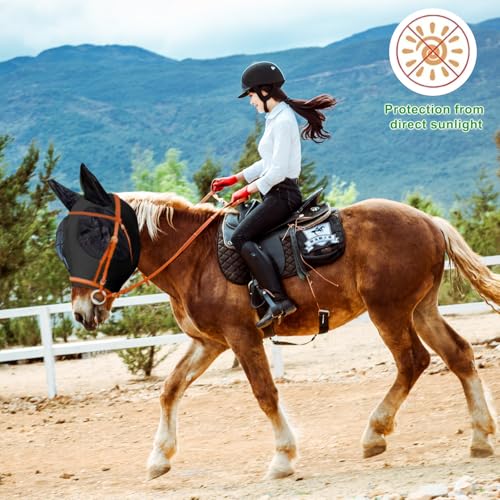 Horse Fly Mask with Ears (Black / Medium (for 13hh-15hh))