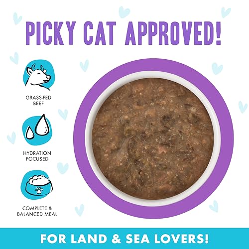 B.F.F. OMG Best Feline Friend Oh My Gravy! (5.5 Ounce (Pack of 8))