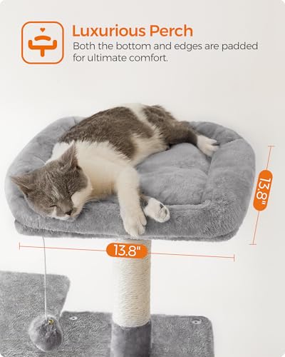 Cat Tree 54.2 (54.2 Inches / Light Gray)