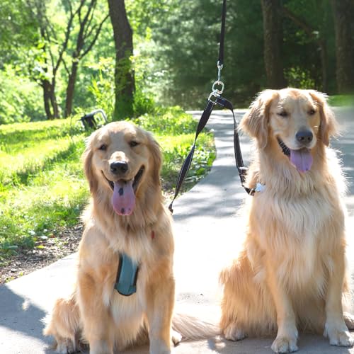 Leash Coupler (Large)