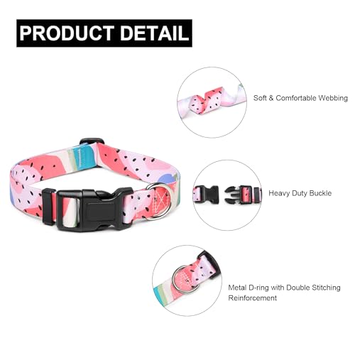 Adjustable Dog Collar (Extra Small / Watermelon)
