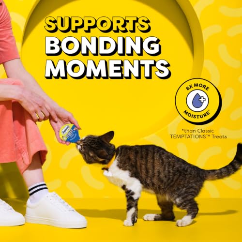 Lickable Spoons Wet Cat Treats (48 Count (Pack of 1))