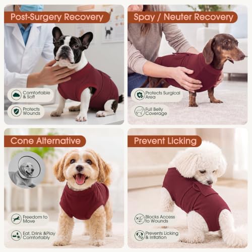 Recovery Suit for Dogs Cats (2x-large (Back:24.8-29.5'', Weight:70+ Lb) / Burgundy Solid)