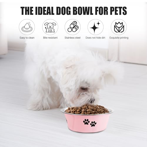 Stainless Steel Dog Bowls (Pink / 3.6 Cups/29 OZ)