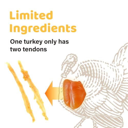 Turkey Tendon for Dogs