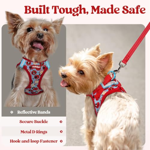 Dog Harness Small Sized and Leash Set (Apple Pups / Xs (chest: 13.3 - 15.5"))