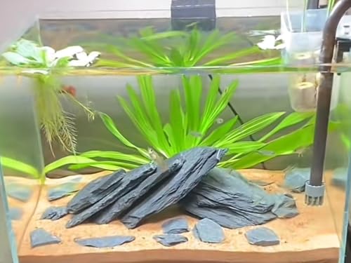 Aquarium Rock Natural Slate Rocks 2 to 6 inch Aquariums Stone for Aquascaping (10lb(2-7''))