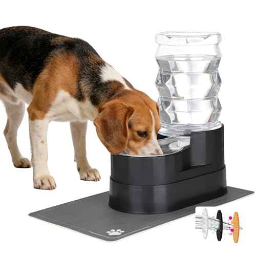 7L Elevated Dog Water Dispenser (7L / Black)