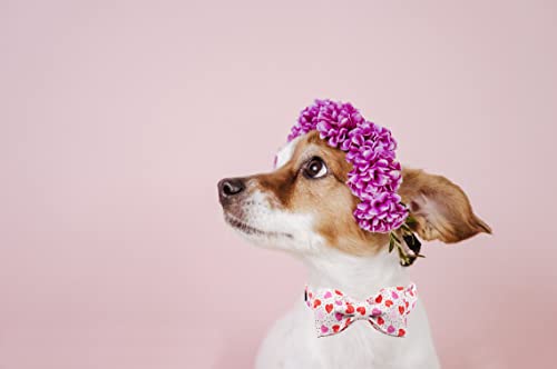 Valentines Day Dog Collar with Bowtie (Hearts / Medium (Pack of 1))