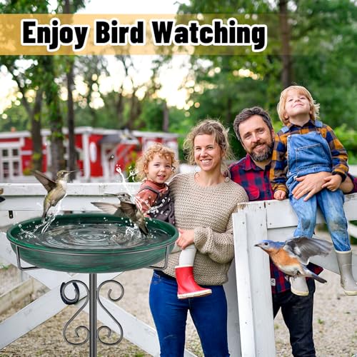 Bird Bath for Outside (Vintage Green)