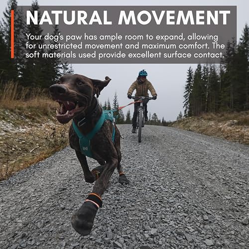 Dog Boots for Hot Pavement (Medium)