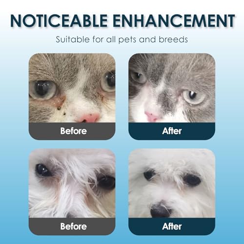 Eye Wipes Dogs Cats