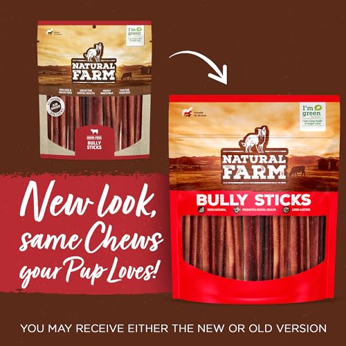 Odor Free Braided Bully Sticks (6" Braided - 10 Count)
