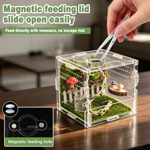 Jumping Spider Enclosure Kit 14 (Green-Scandi style)