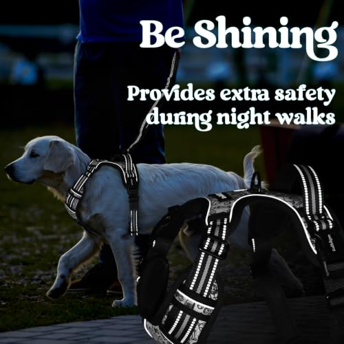 Dog Harness Medium Sized