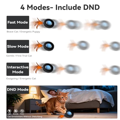 Interactive Cat Toy for Indoor Cats (Starry Night)