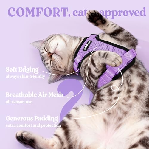 Cat Harness and Leash Set (Xxs / Light Purple)