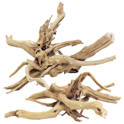Natural Driftwood for Aquarium (Spiderwood（7-13 inch pack of 2）)