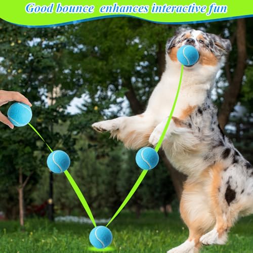 16 Pcs 2.5 Inch Squeaky Tennis Balls Bulk for Dogs Bouncy Floatable Tennis Balls Dog Playing Supplies Training Interactive Fetch Toys Indoor and Outdoor for Small Medium Puppy (Multicolor)
