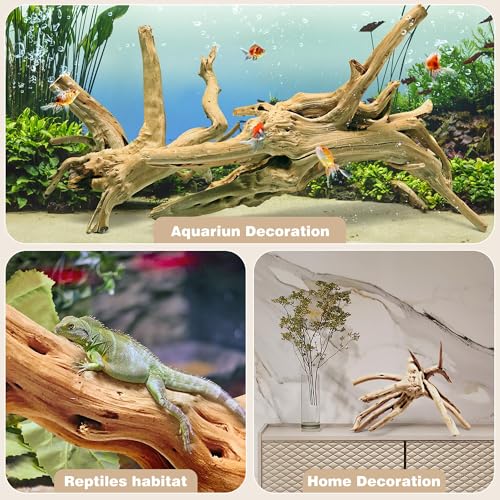 Natural Spiderwood for Aquarium Decor 2 (Spiderwood （11-14 inch pack of 2）)