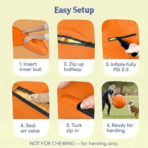 25" Herding Ball for Dogs (Tangerine - L 25" Herding Ball Set / L 25")