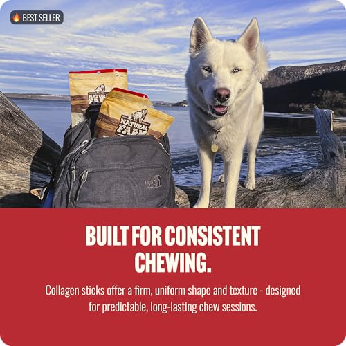 Odor Free Braided Collagen Chews for Dogs (12" Braided - 12 Count)